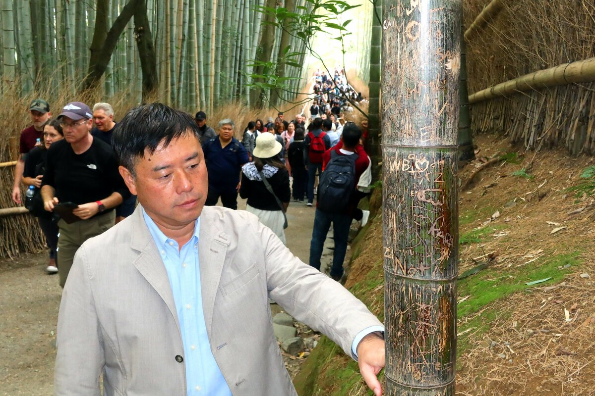 Du khách khắc bậy chi chít vào rừng tre biểu tượng, Nhật Bản đưa ra quyết định sốc- Ảnh 1.