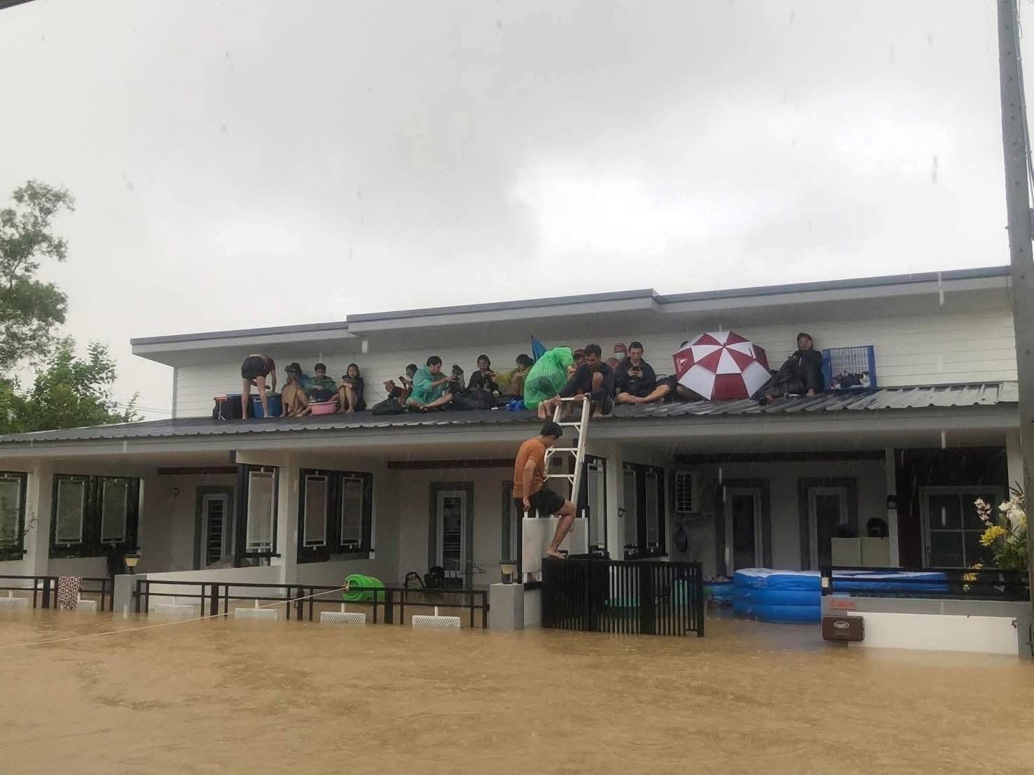 Lũ lụt kinh hoàng tại Thái Lan: Tiếng kêu xé lòng vang trên các mái nhà, người dân cầu cứu khắp MXH- Ảnh 1.