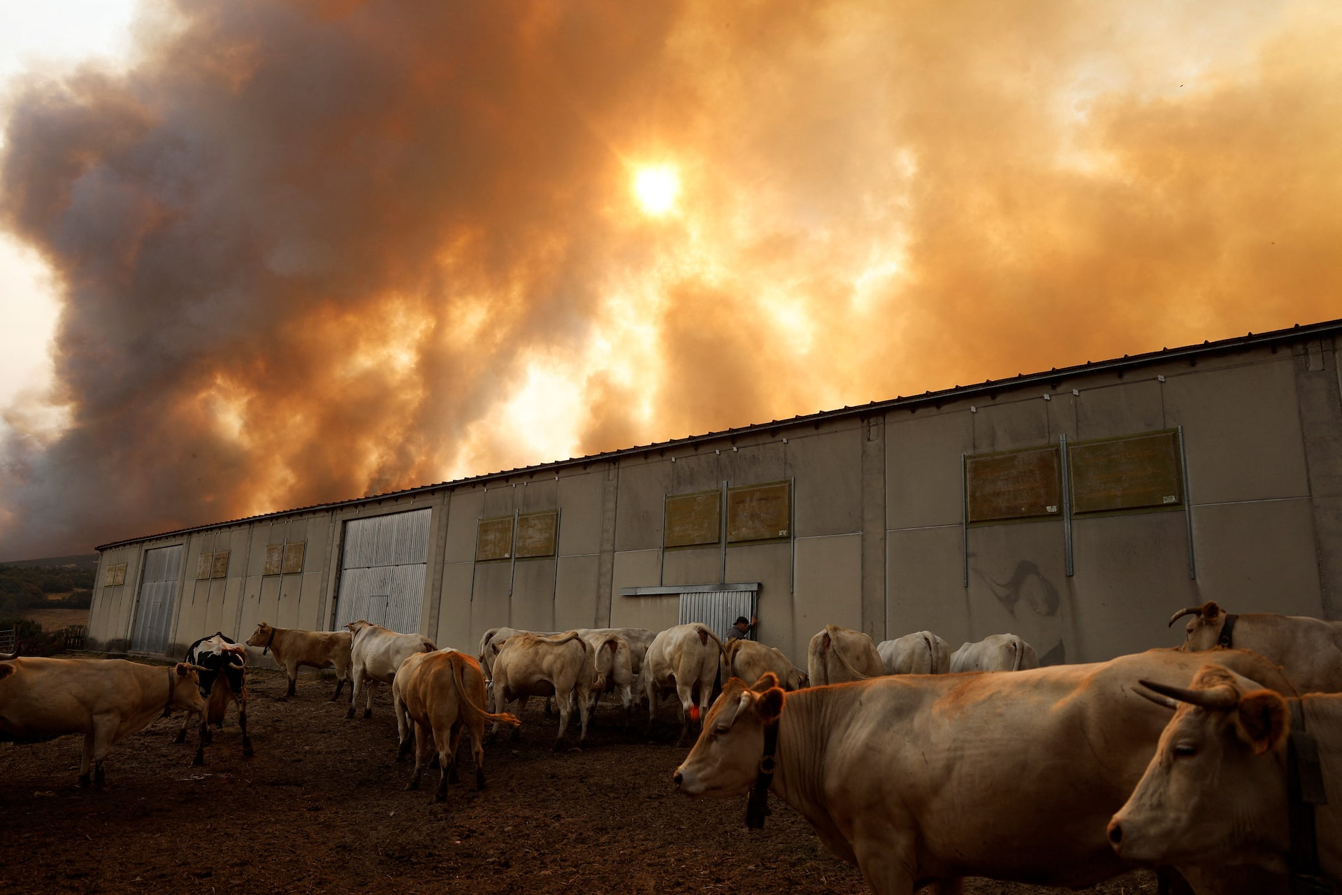 Tây Ban Nha bị Tây Ban Nha bị