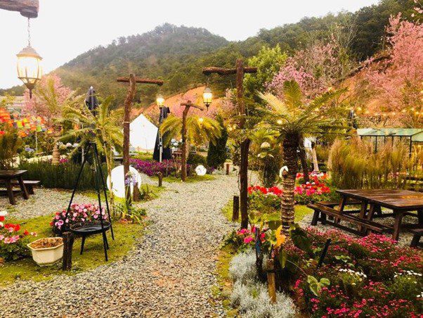 "Nhạc sĩ giàu nhất Việt Nam" khoe cơ ngơi 1.000m2 như cổ tích tại Đà Lạt 6 1737973351 664 width602height452