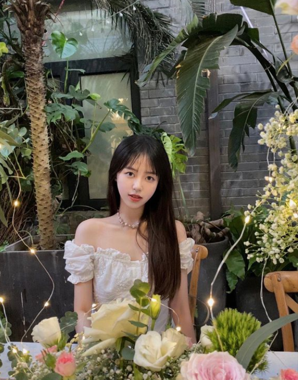 Cựu vương MSI Cựu vương MSI