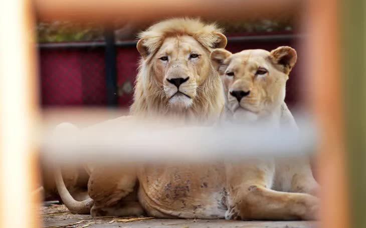 (Ảnh minh họa: AFP)