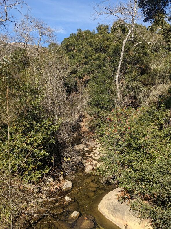 Ác mộng mới của Harry và Meghan khi hàng ngàn người kéo đến bủa vây biệt thự triệu đô tại Mỹ- Ảnh 2.