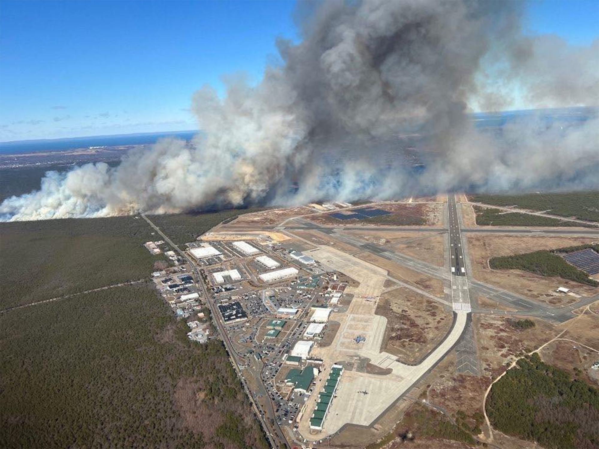 Đây mới là mối đe dọa khiến cháy rừng tồi tệ hơn đang lặng lẽ lan rộng: Không phải nắng hay gió, thủ phạm nhỏ đến mức giật mình- Ảnh 1.