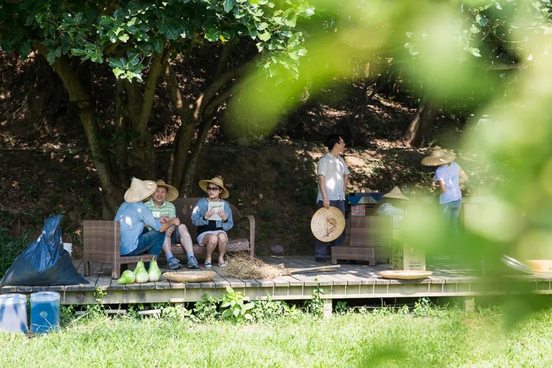 24 gia đình trung lưu góp 554 tỷ đồng mua 8.000m2 đất hoang xây làng