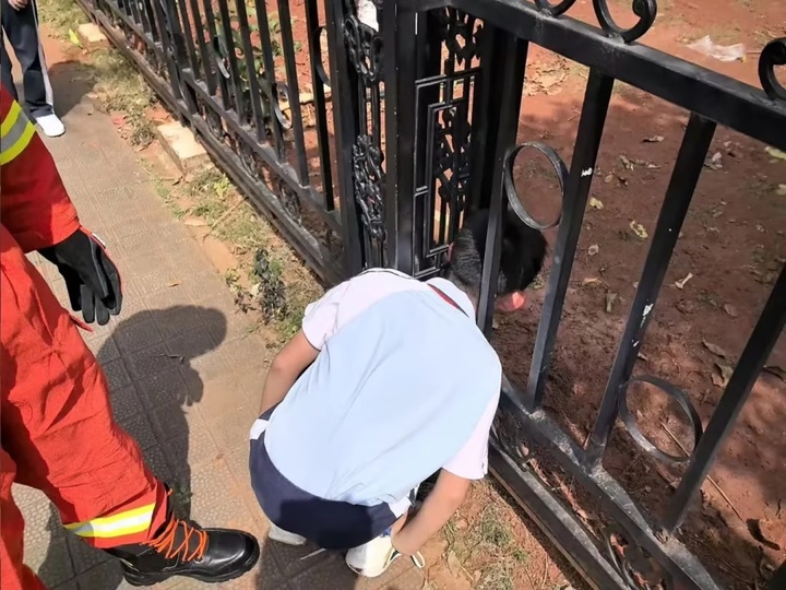 Giận mẹ, nữ sinh 12 tuổi chui vào máy giặt và mắc kẹt, đội cứu hộ phải ra tay- Ảnh 2. Giận mẹ, nữ sinh 12 tuổi chui vào máy giặt và mắc kẹt, đội cứu hộ phải ra tay- Ảnh 2.