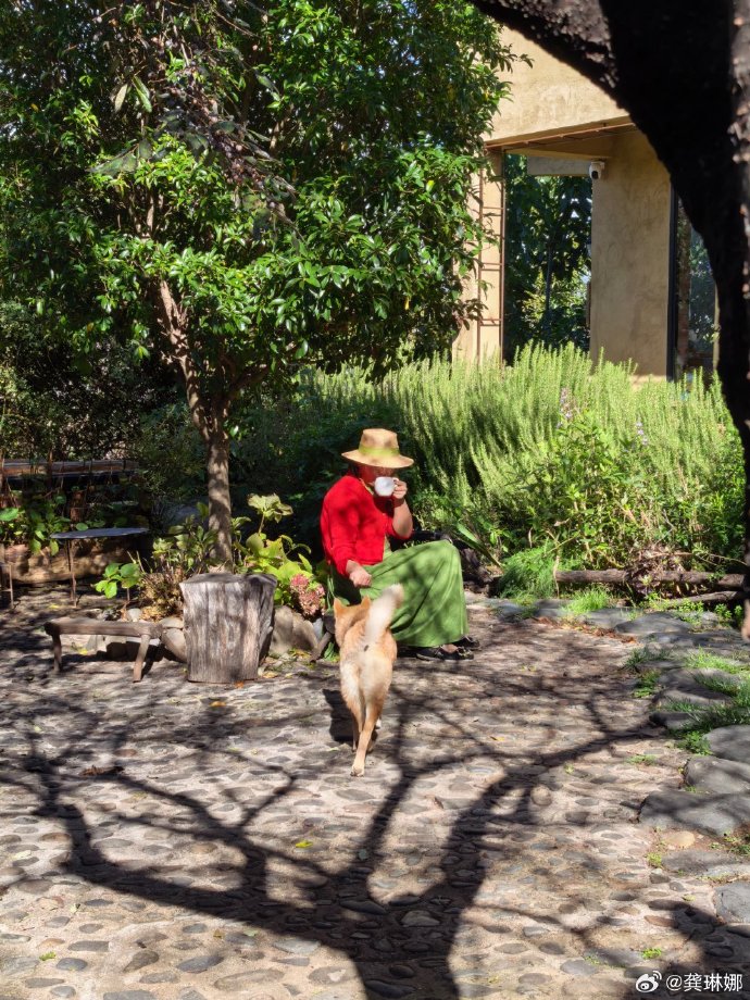 Người chị em thân thiết của Chi Pu dọn nhà lên núi ở ẩn sau cú sốc bị chồng bỏ, nằm liệt giường 3 tháng- Ảnh 3.