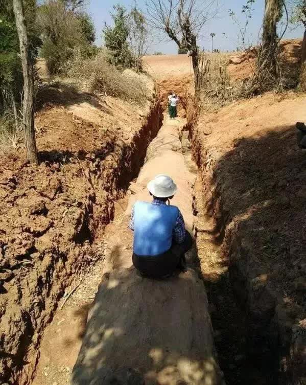 Công trường dừng thi công khẩn cấp vì phát hiện cây gỗ dài 30,5m, “cứng như đá”: Chuyên gia khẳng định