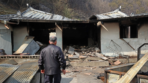 “Tại sao chuyện này lại xảy ra với bố tôi?”: Bi kịch cháy rừng kinh hoàng ở Hàn Quốc phơi bày một sự thật đau lòng- Ảnh 2.