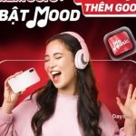 MeMusic+: Cả thế giới âm nhạc trong tay bạn 69 1757584468 961 width740height495 auto cropjpg