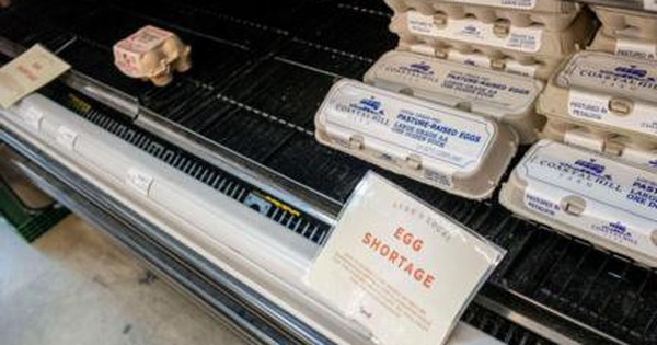 Nước Mỹ khủng hoảng vì hết trứng: Giá trứng tăng gây đau đầu hơn cả giá vàng tăng, vì đâu có tình cảnh lạ này? 6a5a2ba0 e35e 11ef 85b4 d3e7cbacfead 1739026099110544031391 1739066658845 1739066659294598228760 0 0 270 432 crop 1739066728859347128243jpg