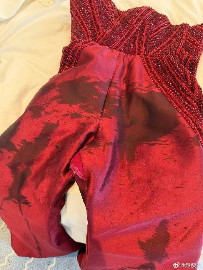 Sao Trung Quốc mặc hở bị bảo vệ mời rời khỏi thảm đỏ Cannes - 1