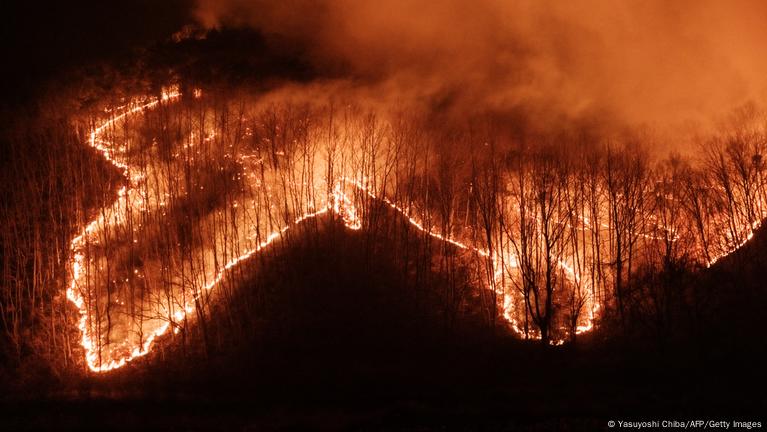 Thảm họa cháy rừng Hàn Quốc bước sang ngày thứ 5: 10.000 lính cứu hỏa vẫn không dập được lửa, số người chết tiếp tục tăng, di tích ngàn năm chỉ còn lại tro tàn- Ảnh 5.