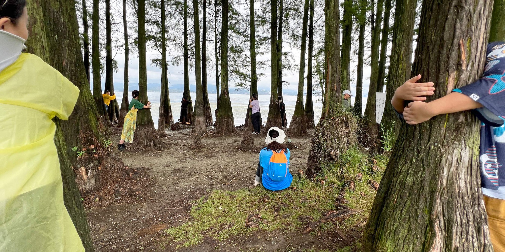 Xu hướng ôm cây của giới trẻ một quốc gia châu Á- Ảnh 3. Xu hướng ôm cây của giới trẻ một quốc gia châu Á- Ảnh 3.