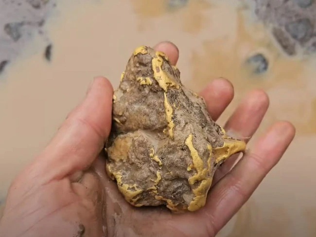 Phát hiện khối vàng nguyên chất trị giá 2,4 tỷ đồng dưới gốc cây- Ảnh 2.