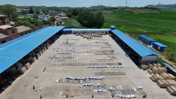 Khoan sâu 219 mũi, phát hiện mỏ vàng lớn trữ lượng gần 1.500 tấn sau hơn 40 năm khảo sát 7573582475819334527 1762843899493 1762843899669208474025