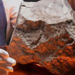 Mảnh thiên thạch từ sao Hỏa bất ngờ được bán với giá hơn 5,3 triệu USD 779568811657 jzgujpg