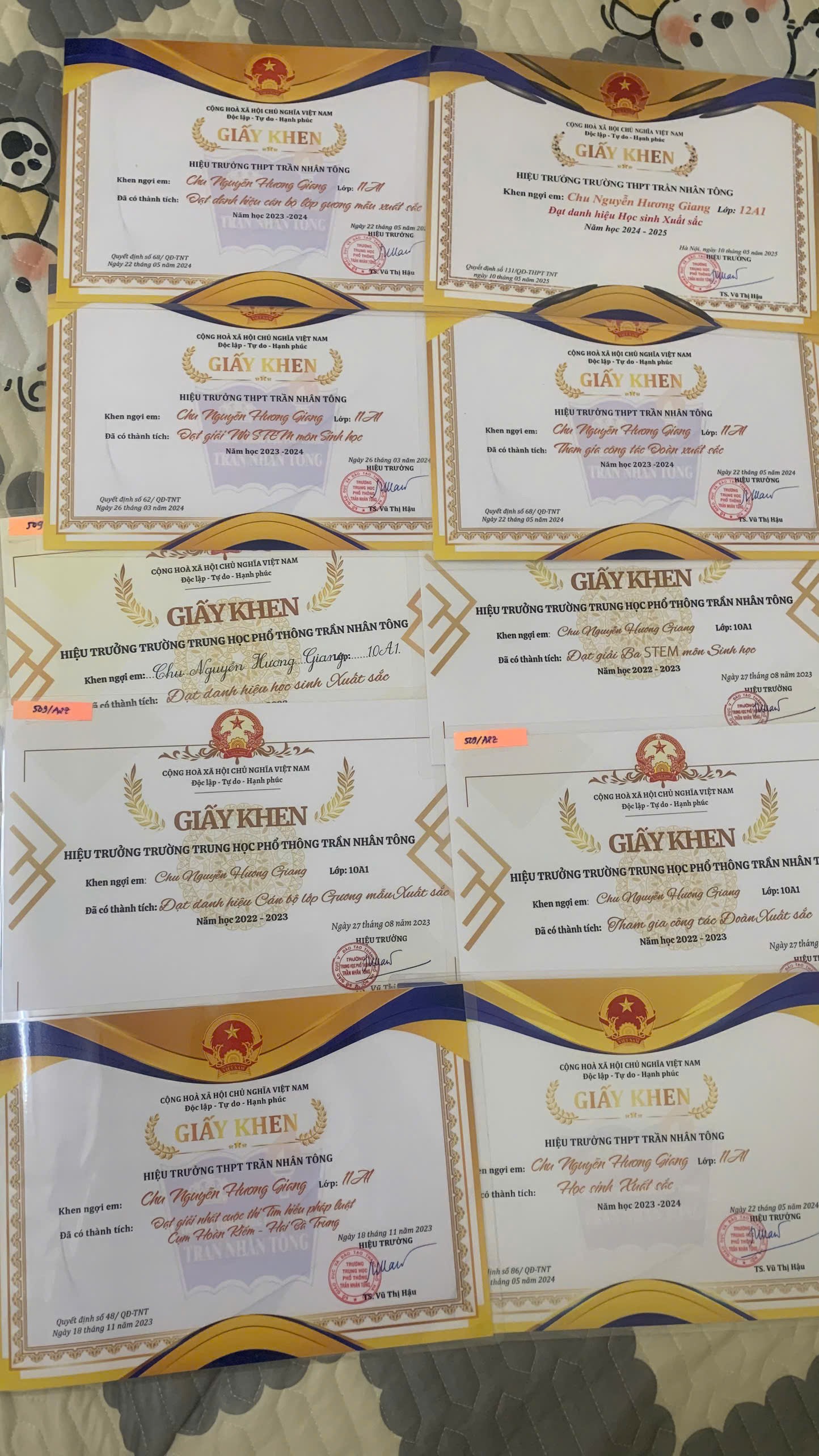 Em từng đạt rất nhiều thành tích trong học tập. 