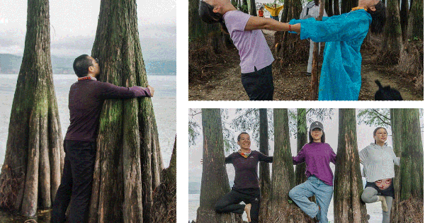 Xu hướng ôm cây của giới trẻ một quốc gia châu Á 26 Xu hướng ôm cây của giới trẻ một quốc gia châu Á 79 1739864043556 1739864043652942168123 1739874592310 17398745925041932017721 83 2 865 1253 crop 17398746641651940558135png