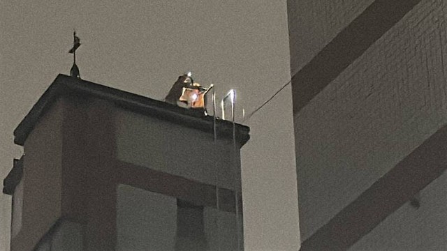 Phát hiện thi thể người đàn ông trong bể chứa nước của chung cư có 167 hộ dân, toàn bộ cư dân rơi vào hoảng loạn- Ảnh 1.