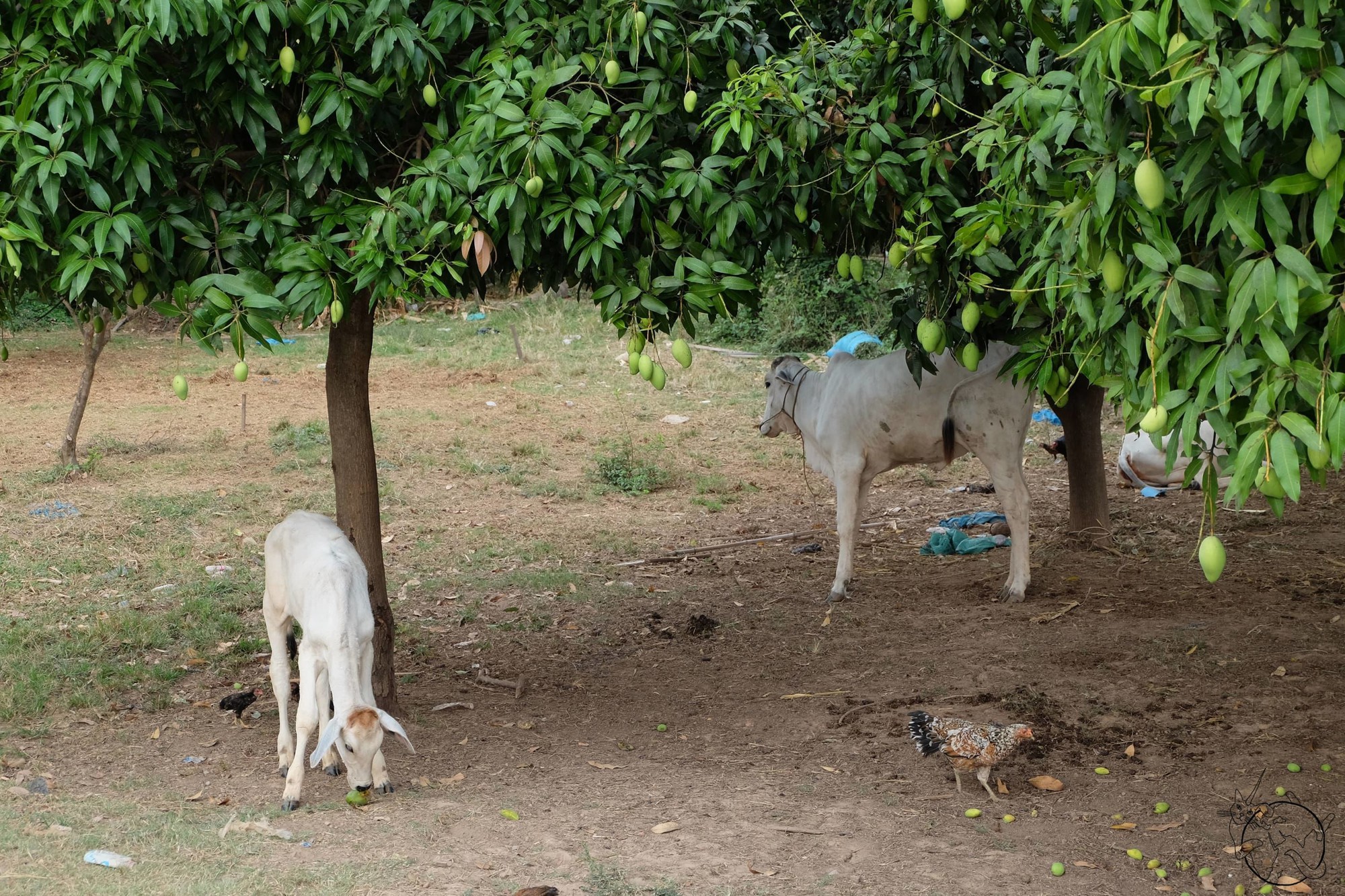 Sự thật khủng khiếp về