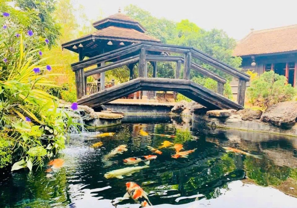 Danh hài Hoàng Mập bất ngờ rao bán biệt phủ triệu đô rộng 1.600m2 - 11