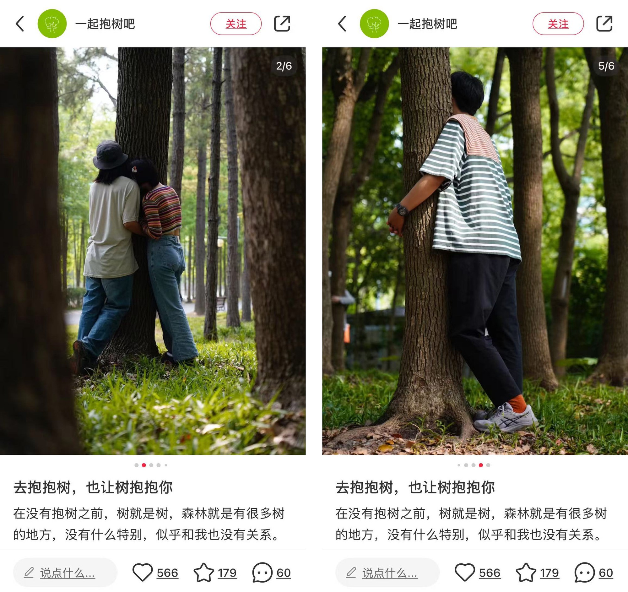 Xu hướng ôm cây của giới trẻ một quốc gia châu Á- Ảnh 1. Xu hướng ôm cây của giới trẻ một quốc gia châu Á- Ảnh 1.