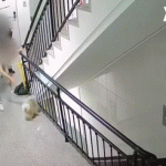 Video từ camera an ninh ghi lại khoảnh khắc tuổi thơ của một đứa trẻ sụp đổ 8090124 17398500062601989747540 1739855179081 1739855179158124653989