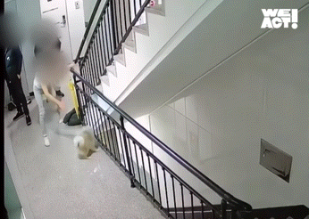 Video từ camera an ninh ghi lại khoảnh khắc tuổi thơ của một đứa trẻ sụp đổ 30 Video từ camera an ninh ghi lại khoảnh khắc tuổi thơ của một đứa trẻ sụp đổ 8090124 17398500062601989747540 1739855179081 1739855179158124653989