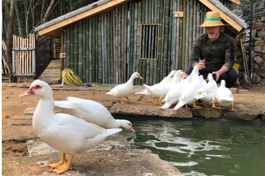 Cuộc đời của diễn viên từng là