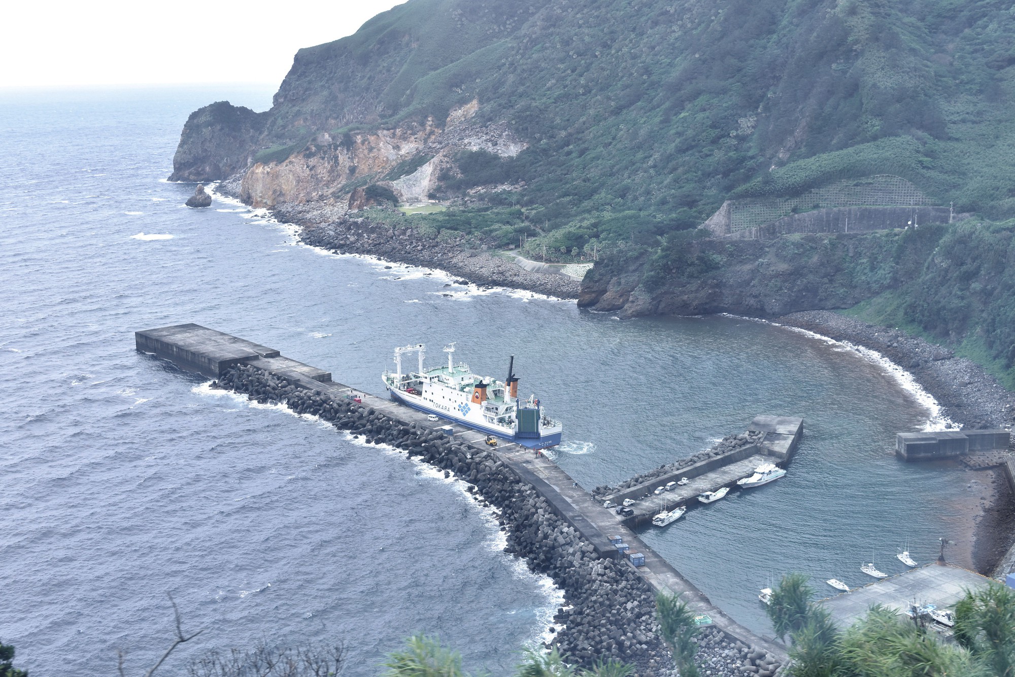 Tiên tri về đại thảm hoạ ngày 5/7 không thành sự thật, tác giả bộ truyện nhận chỉ trích dữ dội- Ảnh 6.