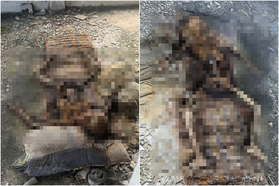 Điện thoại đánh mất bỗng được trả lại, chủ nhân rụng rời khi thấy loạt ảnh kỳ quái bên trong- Ảnh 1.