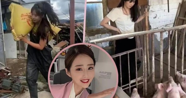 Lương tiếp viên hàng không thấp, cô gái về nuôi lợn kiếm 350 triệu đồng/tháng 26 Lương tiếp viên hàng không thấp, cô gái về nuôi lợn kiếm 350 triệu đồng/tháng 8bc4bd1a 800c 4d9d b2eb b835e8ab2252526adae3 11401936 1737533309086 17375333097921163648553 8 0 458 720 crop 17375334150261529788309jpeg
