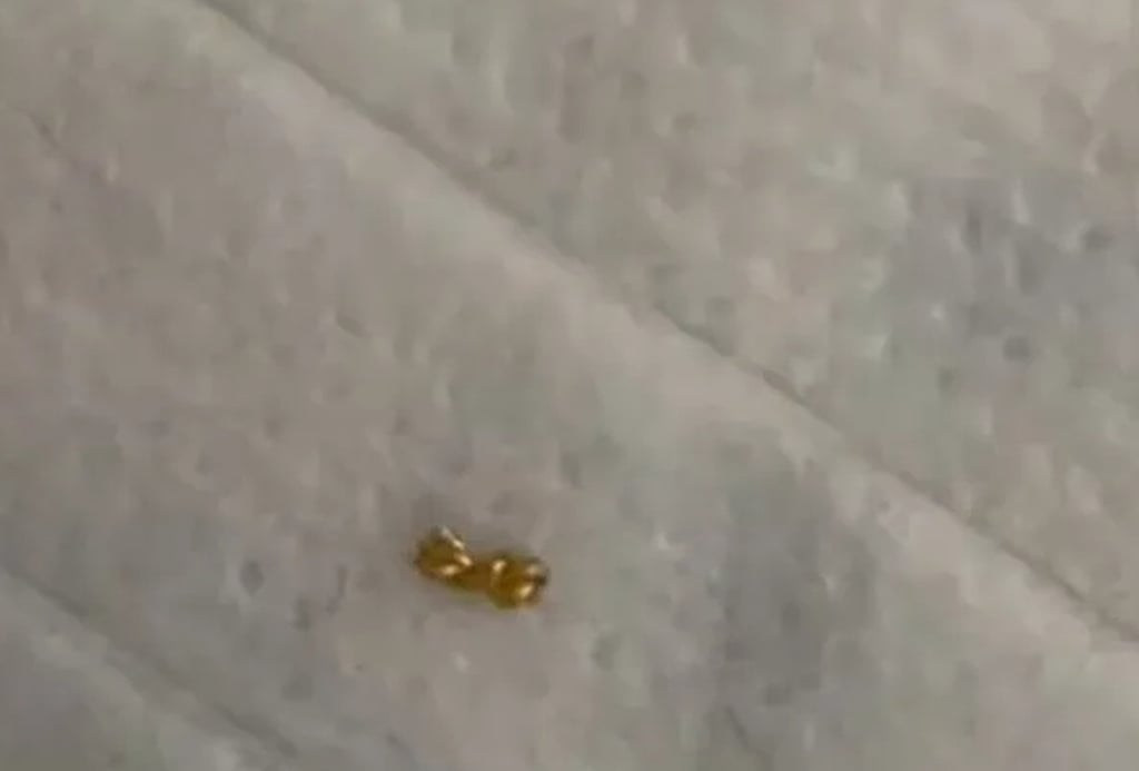 Bé trai 8 tuổi cắt vụn dây chuyền vàng của mẹ đem tặng bạn cùng lớp, bố mẹ sốc khi xem lại camera- Ảnh 2.