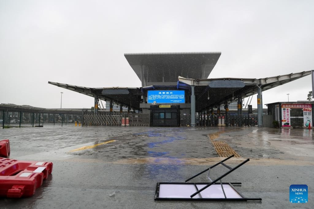 Hàng trăm cây đổ, hàng chục người nhập viện do bão Wipha ở Trung Quốc- Ảnh 8.