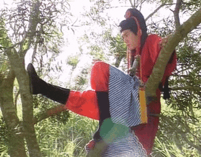 Tang thương bao trùm Cbiz: