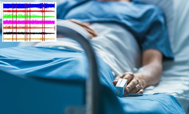 Khoa học lần đầu ghi lại được sóng não của người cận tử, liệu thực sự có trải nghiệm