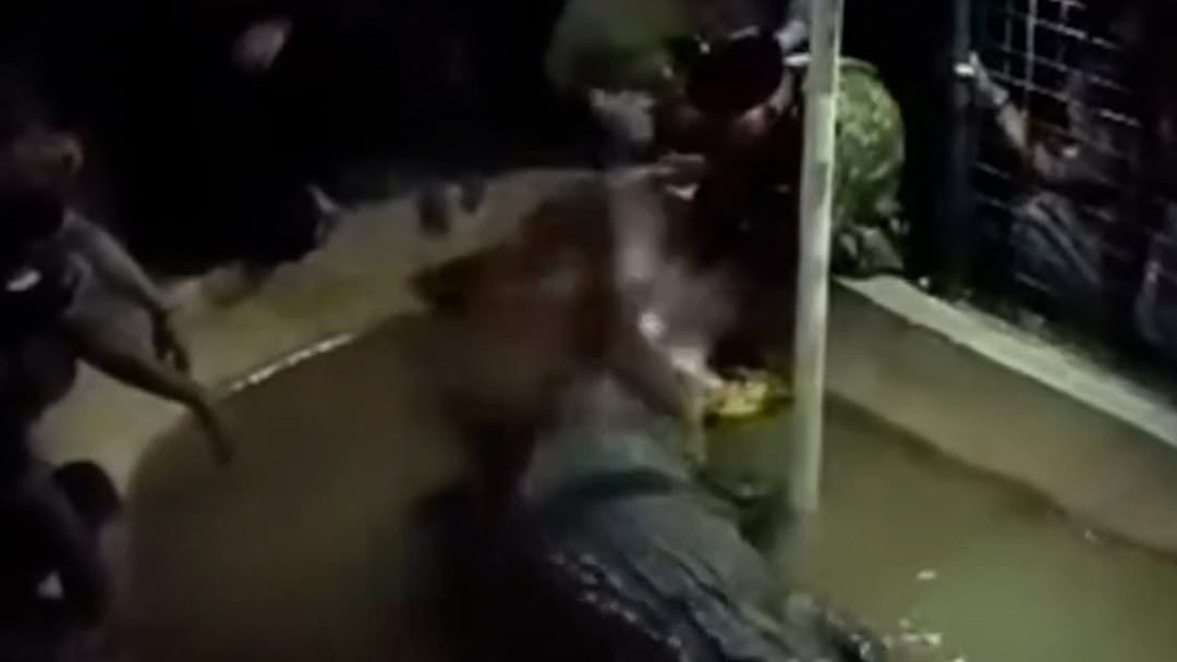 Kinh hoàng khoảnh khắc cá sấu