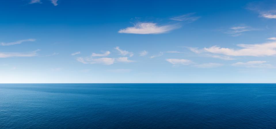 Con cá cô đơn nhất thế giới- Ảnh 1.