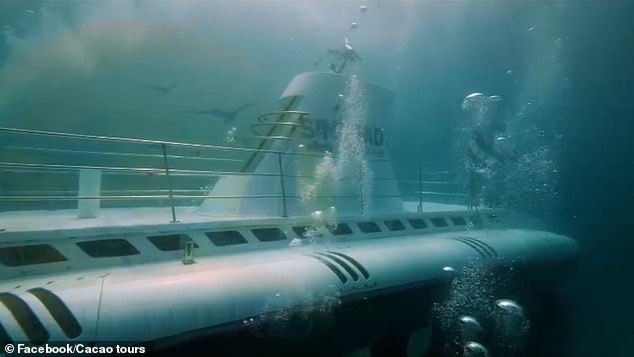 Vụ tàu ngầm chở 45 người chìm bí ẩn: Video từ bên trong cho thấy khoảnh khắc cuối cùng của hành khách như thế nào trước khi thảm họa xảy ra- Ảnh 1. Vụ tàu ngầm chở 45 người chìm bí ẩn: Video từ bên trong cho thấy khoảnh khắc cuối cùng của hành khách như thế nào trước khi thảm họa xảy ra- Ảnh 1.