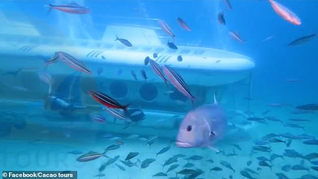 Vụ tàu ngầm chở 45 người chìm bí ẩn: Video từ bên trong cho thấy khoảnh khắc cuối cùng của hành khách như thế nào trước khi thảm họa xảy ra- Ảnh 4. Vụ tàu ngầm chở 45 người chìm bí ẩn: Video từ bên trong cho thấy khoảnh khắc cuối cùng của hành khách như thế nào trước khi thảm họa xảy ra- Ảnh 4.