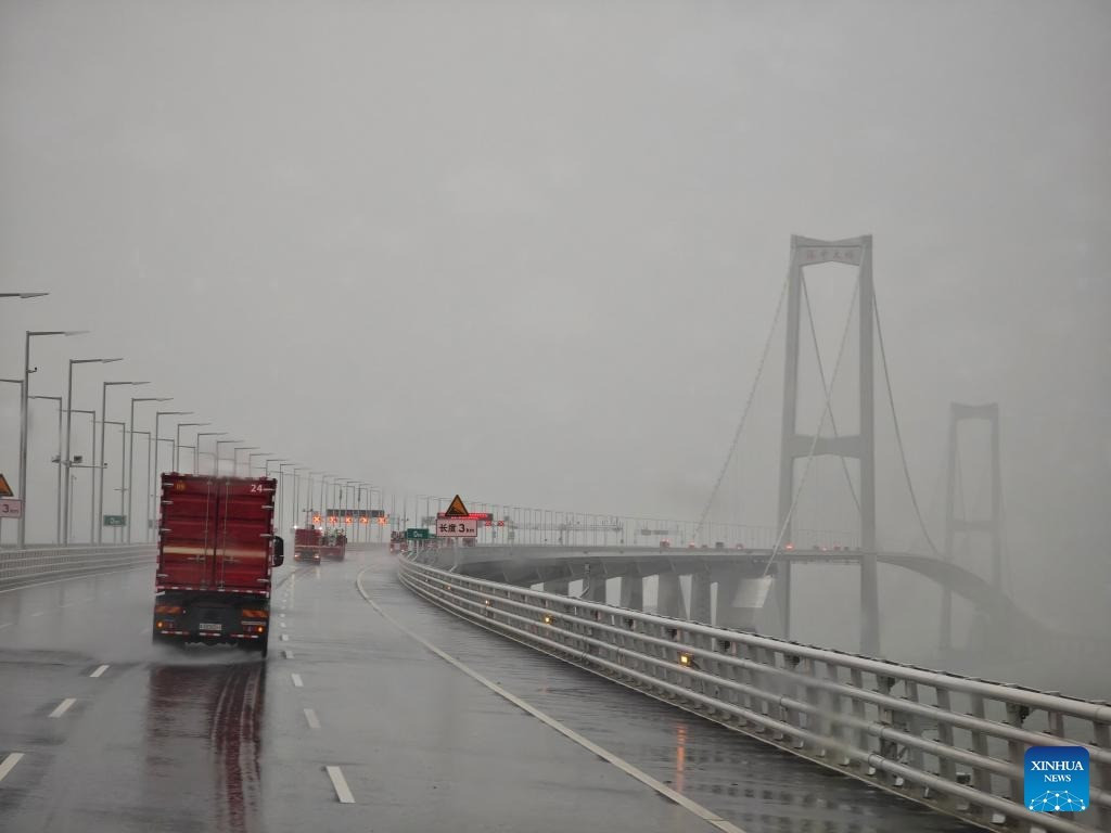 Hàng trăm cây đổ, hàng chục người nhập viện do bão Wipha ở Trung Quốc- Ảnh 6.