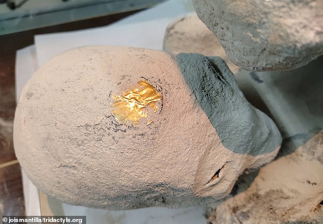 Bí mật động trời sau cánh tay ôm bụng suốt 1.200 năm của