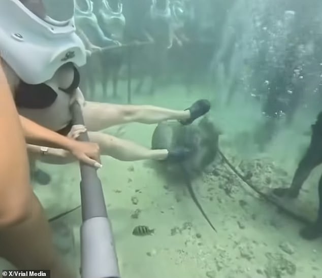 Mũ cung cấp oxy bất ngờ bị rơi, du khách suýt chết ngạt trong trải nghiệm