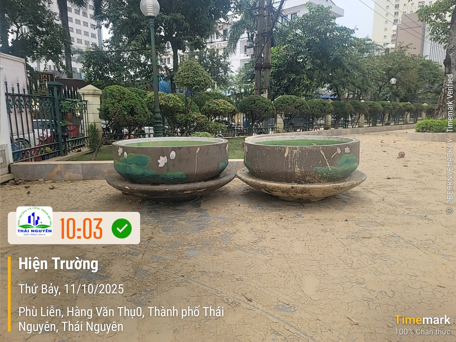 Vào sáng 11/10, Công ty Môi trường Công trình và Đô thị Thái Nguyên đã xác nhận tìm được 2 tách trà thất lạc