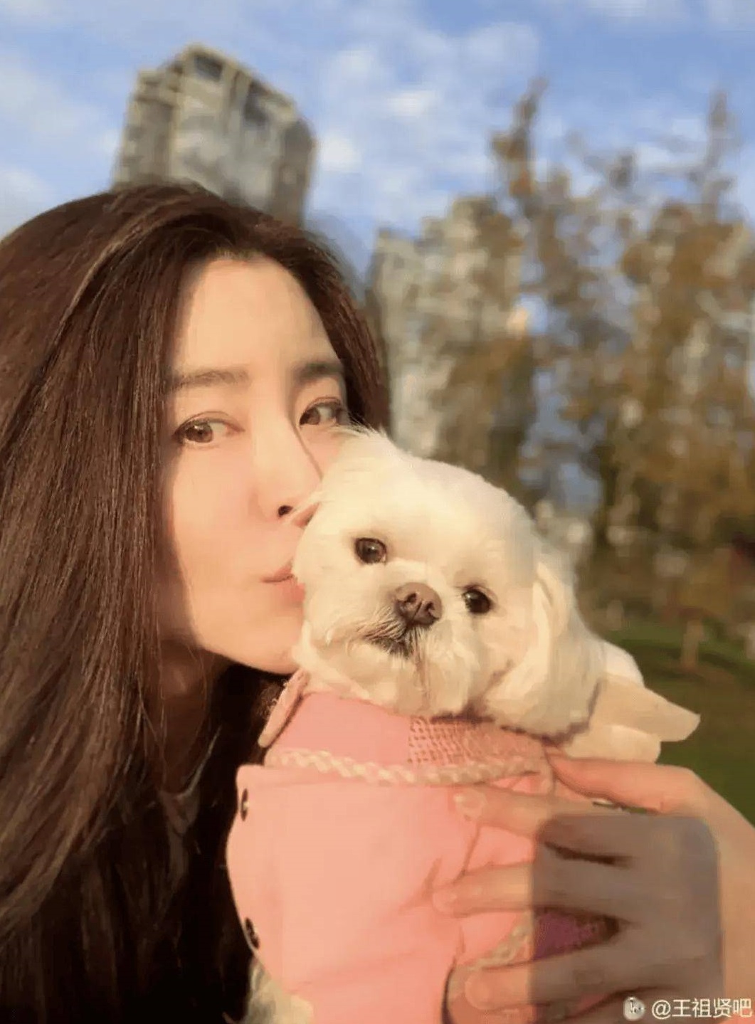 "Ngọc nữ màn ảnh" mê dưỡng sinh: Rời showbiz để mở tiệm trị liệu đông y, đích thân phục vụ khách 9bb731f251566eed8de0e7cb5d6e4d99 111447 1744943182241 17449431824291208591845