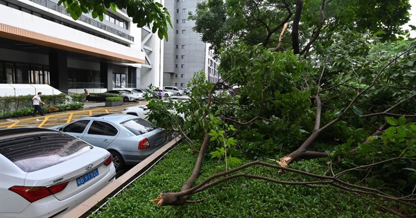 Lũ quét tại Trung Quốc và Mỹ: Những lời cảnh tỉnh nghiêm khắc từ thiên nhiên a 49029639134377914423628 1753232905451 1753232905892928843448 50 0 800 1200 crop 1753232934226622918253jpg