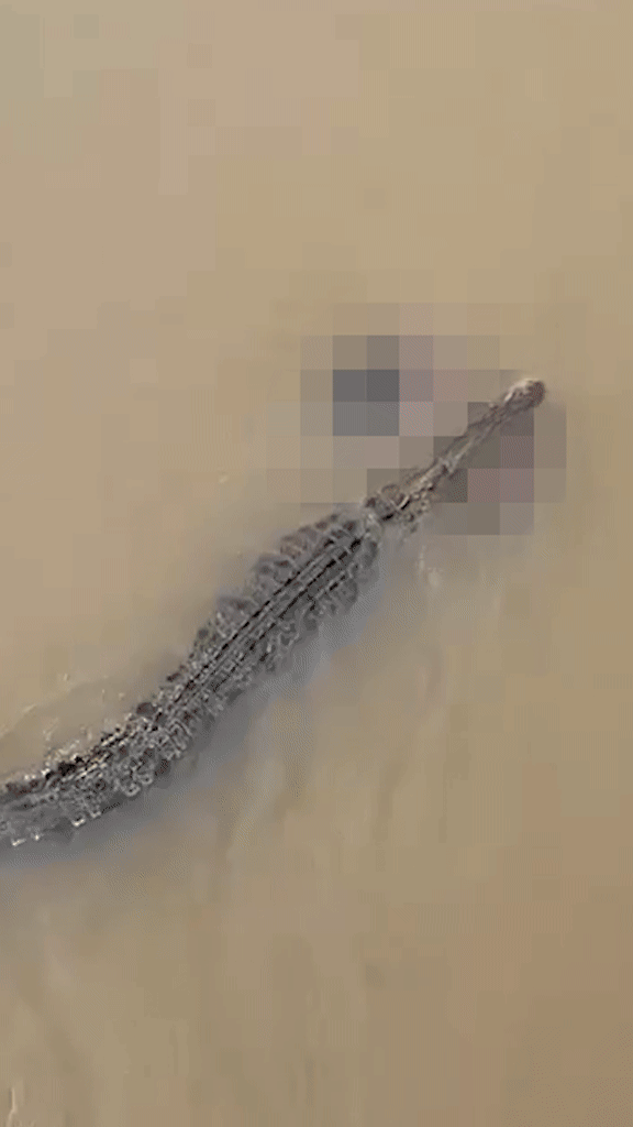 Người phụ nữ ra sông tắm rồi bỗng bị