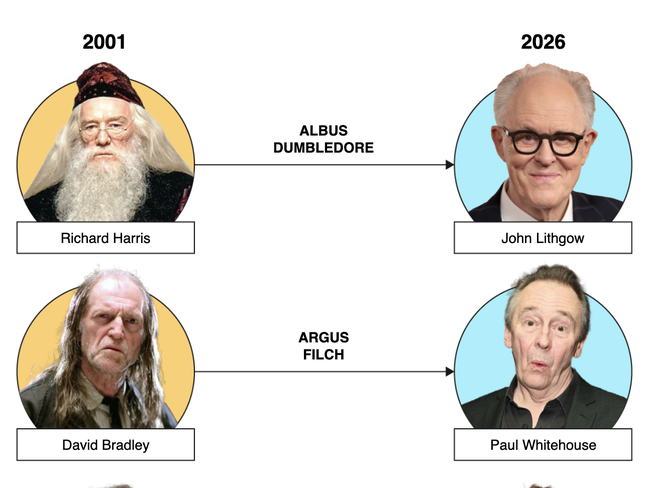 Đánh bại hơn 30.000 đối thủ để trở thành Harry Potter- Ảnh 2.