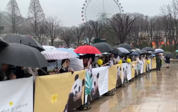 Hàng dài du khách xếp hàng, hào hứng được ghé thăm cặp gấu trúc song sinh siêu đáng yêu ở Hồng Kông (Trung Quốc)- Ảnh 1. Hàng dài du khách xếp hàng, hào hứng được ghé thăm cặp gấu trúc song sinh siêu đáng yêu ở Hồng Kông (Trung Quốc)- Ảnh 1.